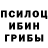 Галлюциногенные грибы Cubensis Wenn Whitehead