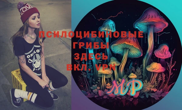 ешки Михайлов