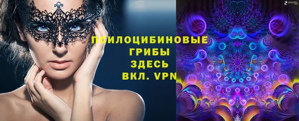 ешки Михайлов