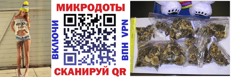 как найти закладки  Астрахань  Псилоцибиновые грибы Magic Shrooms 